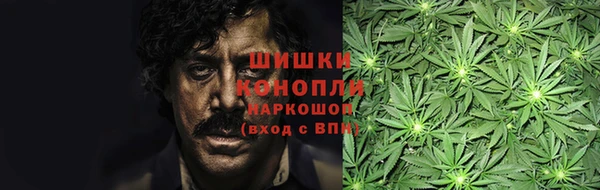 мдпв Вязьма