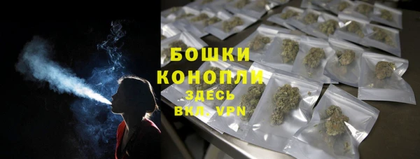 молекула духа Волоколамск