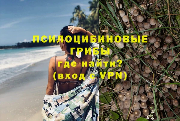мдпв Вязьма
