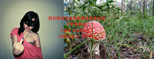 мдпв Вязьма