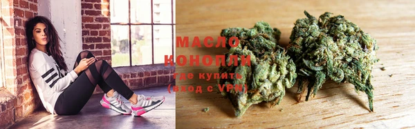 молекула духа Волоколамск