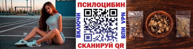 Галлюциногенные грибы Psilocybe  Ветлуга 
